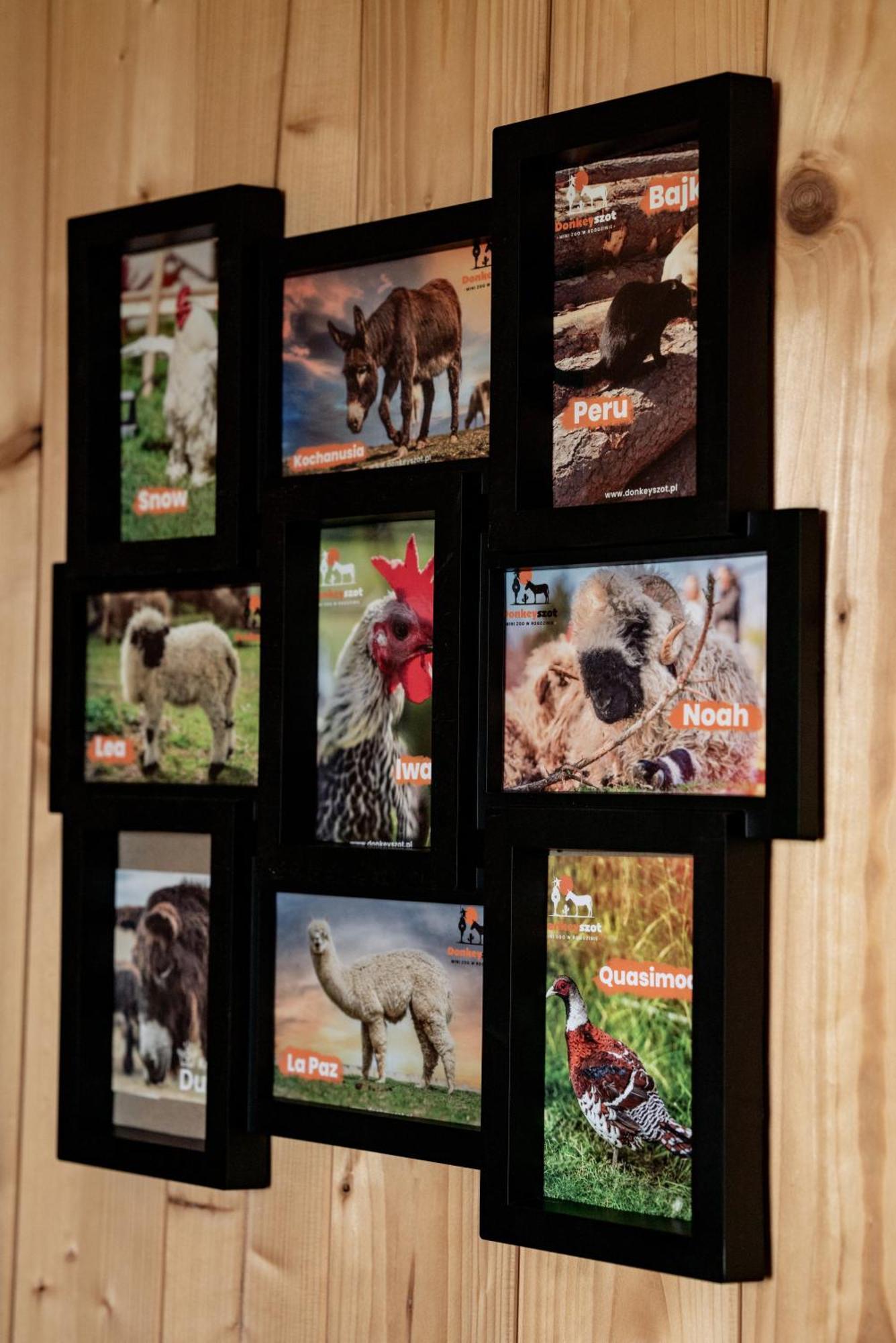 Holiday home Wczasowy Z Dostepem Do Mini Zoo Donkeyszot
