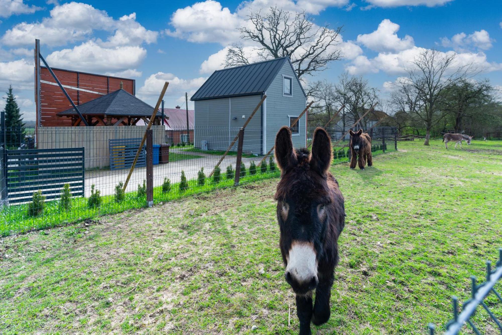 Holiday home Wczasowy Z Dostepem Do Mini Zoo Donkeyszot
