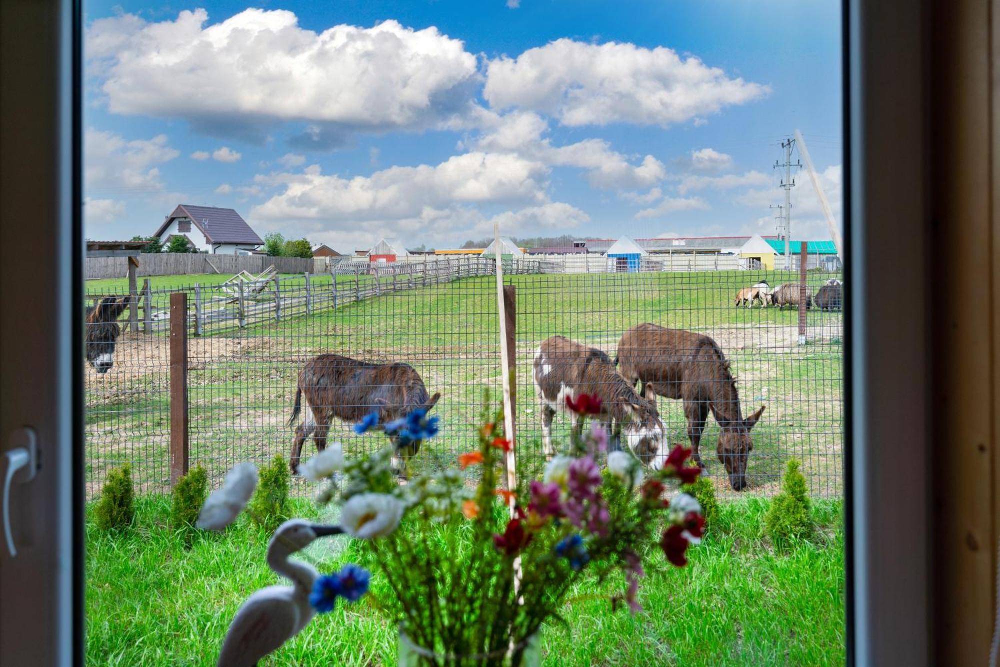Holiday home Wczasowy Z Dostepem Do Mini Zoo Donkeyszot